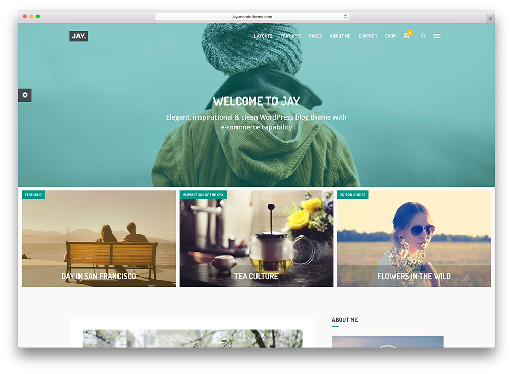 jay-ecommerce-blog-theme