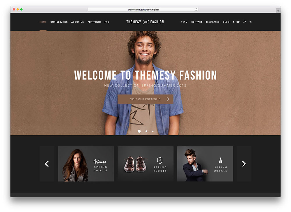 themesy-minimal-fashion-theme
