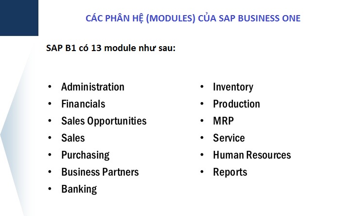 Các phân hệ của SAP Business One