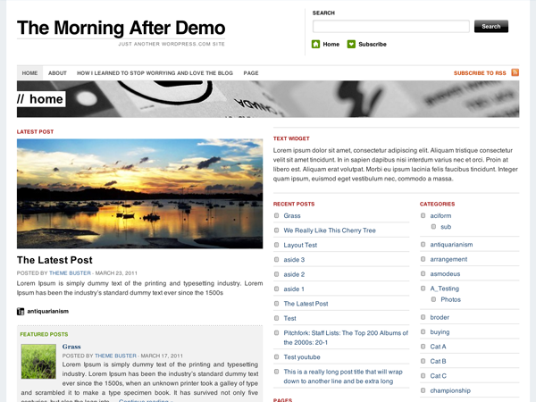 1459245132-7119-themorningafter