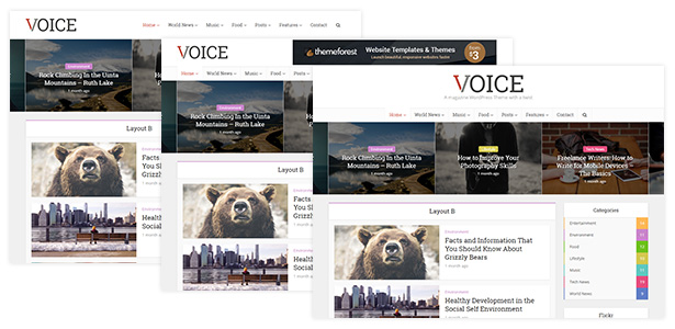 voice-theme-wordpress-lam-blog-tuyet-dep