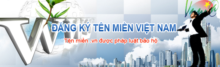 Tên miền Việt Nam .VN giá rẻ hơn cả tên miền quốc tế từ 1/2017