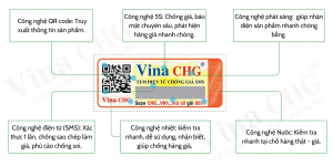 tem chống hàng giả, vina chg
